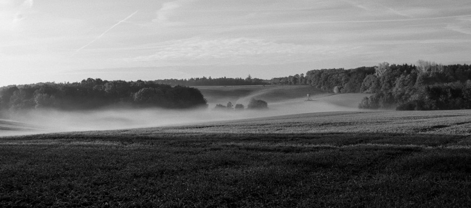 Bild: Morgendlicher Herbstnebel im Unterharz bei Saurasen.