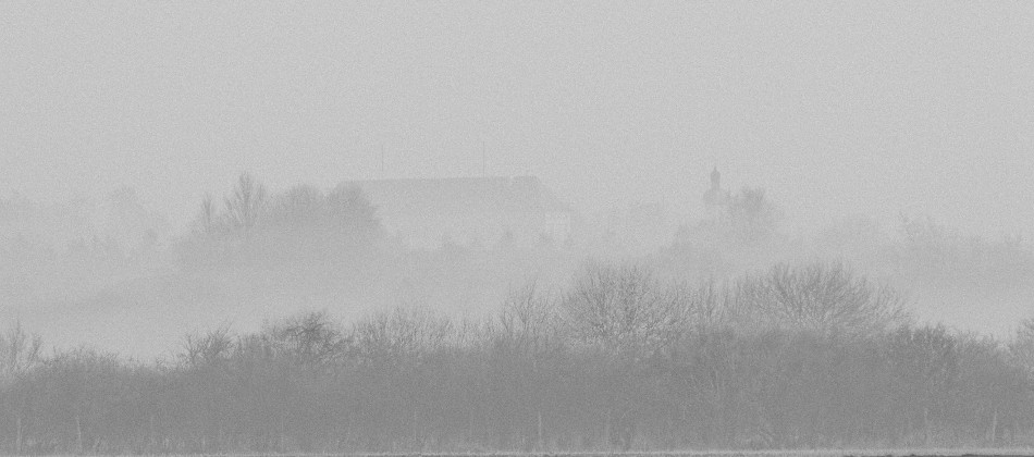 Bild: Morgennebel im Dachauer Moos.