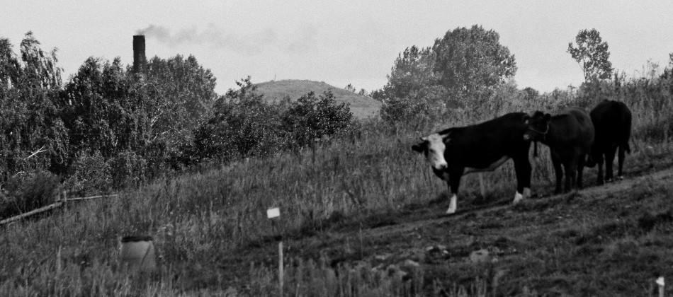 Bild: Bäuerlich geprägte Landschaft im nordöstlichen Polen.