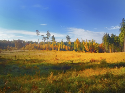 Bild: Herbststimmung im Unterharz. Fotografiert mit OLYMPUS μTOUGH-6020.