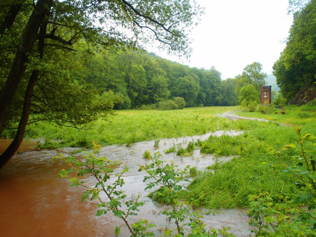 Hochwasser an der Wipper zwischen Biesenrode und Vatterode im Harz nach einem Frühlingsgewitter mit OLYMPUS µTough-6020.