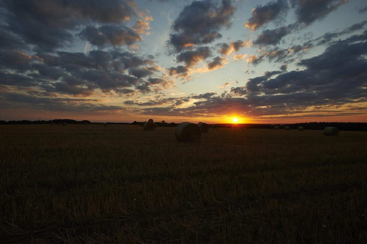 Bild: Sonnenuntergang auf dem Windmühlskopf zwischen Greifenhagen und Bräunrode. NIKON D700 und CARL ZEISS Distagon T* 2/25 ZF.2.