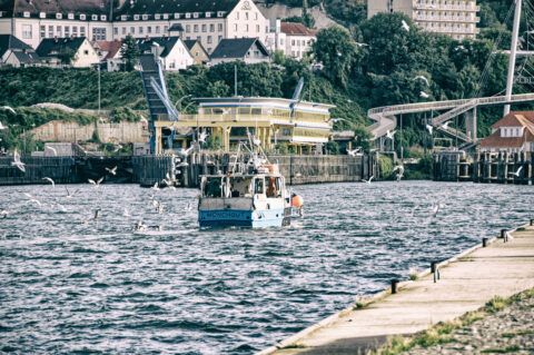 Bild: Einfahrendes Fischerboot. Blick von der Mole des Stadthafens von Sassnitz. Foto: Copyright (c) 2020 by Bert Ecke. Klicken Sie auf das Bild um es zu vergrößern.