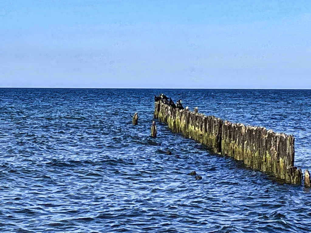 Bild: Am Strand von Glowe östlich des Königshörn in der Nähe des niemals fertiggestellten Kanaldurchbruchs für den Rügenhafen. Klicken Sie auf das Bild um es zu vergrößern.