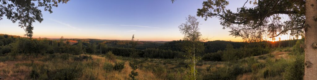 Bild: Sommerlicher Sonnenaufgang über den Wäldern des Unterharzes. Ein Panoramafoto. Klicken Sie auf das Bild um es zu vergrößern.
