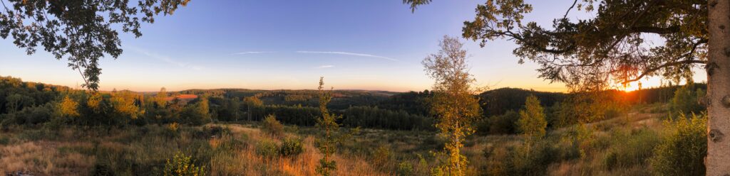 Bild: Sommerlicher Sonnenaufgang über den Wäldern des Unterharzes. Ein Panoramafoto. Klicken Sie auf das Bild um es zu vergrößern.