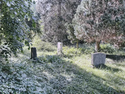 Bild: Auf dem Alten Friedhof von Sindelfingen. Klicken Sie auf das Bild, um es zu vergrößern.