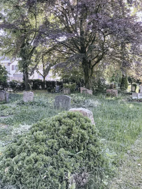 Bild: Auf dem Alten Friedhof von Sindelfingen. Klicken Sie auf das Bild, um es zu vergrößern.